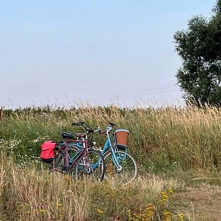 Wittenberg Lwb Ferienwohnung "Auszeit Im Denkmal" מראה חיצוני תמונה